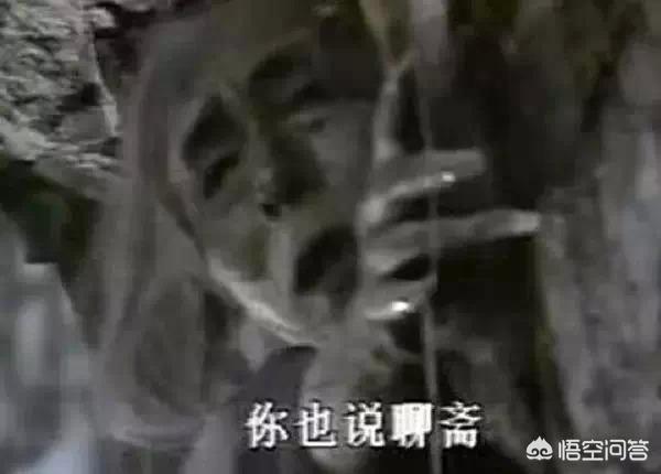 释小龙主演的电视剧:有哪些当年很火的电视剧，现在鲜有人提起