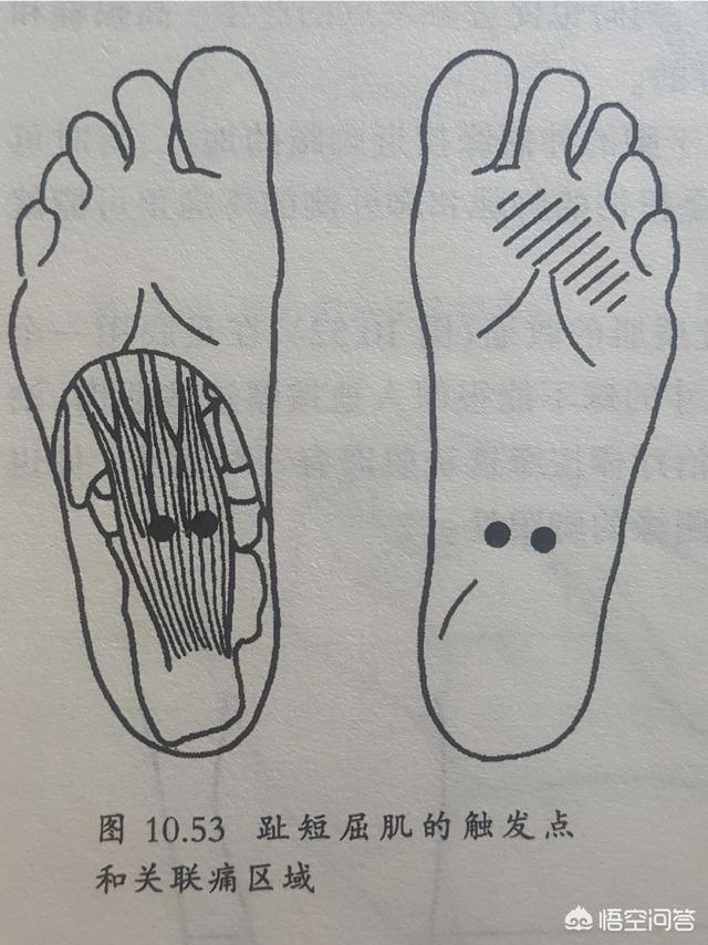 涌泉的准确位置图,按摩刺激涌泉穴有什么好处？