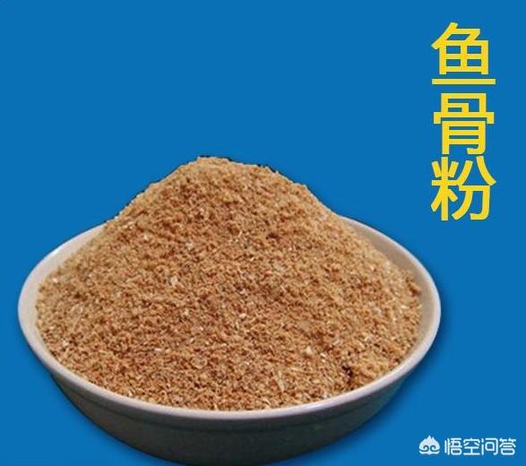头条问答 鱼骨粉可直接用于百香果作肥料吗 厚诚生态防草布厂的回答 0赞