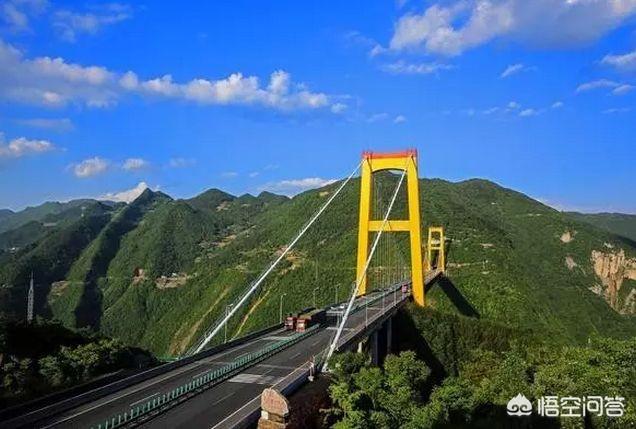桃花水母现身云南:西南部农村未来的发展方向在哪里