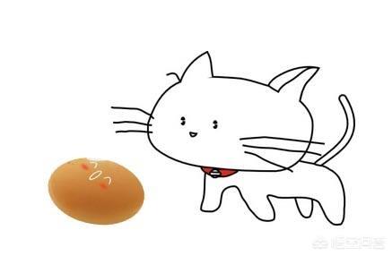 养猫指南百度文库:首次养猫，买了只两个月大的英短，有哪些知识您可以分享给我的？