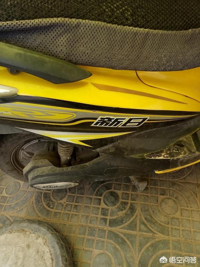 有谁知道电动车哪个品牌既好用又实惠的？