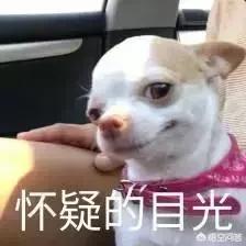 大家对有些人称德云社演员是郭德纲的忠臣孝子怎么看？这意思郭德纲是德云社的“皇上”？