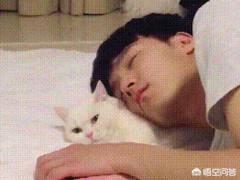为什么晚上睡觉时猫咪总喜欢靠近自己的头，而且咕噜声还很大？插图12