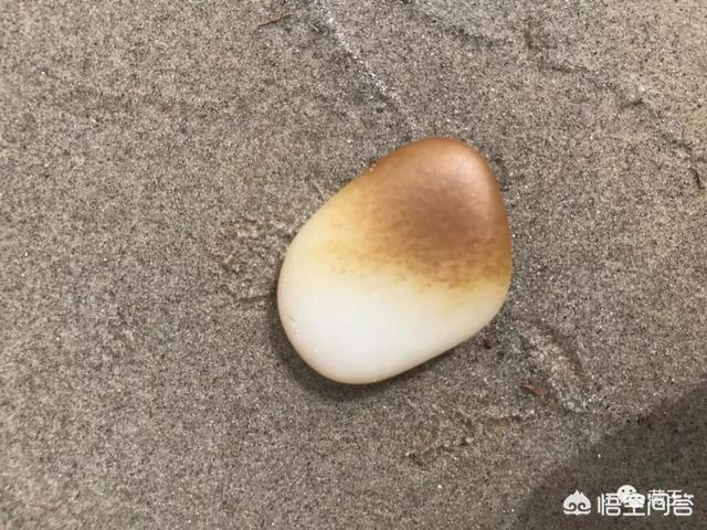 糖玉的特点和鉴定方法,什么是糖玉？糖玉有哪些品种？