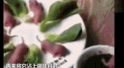 哪个地方的特色美食让你接受不了,具体是哪道菜？