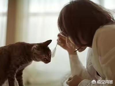 弓形虫病的症状:养猪场的养猪人，猪得了弓形虫病会看得出来的吧，还要请医生吗？ 弓形虫病的症状 成人