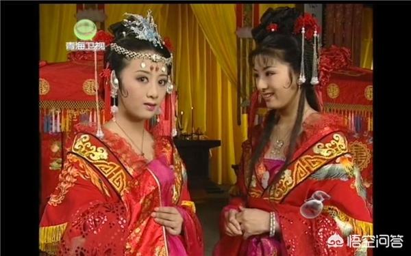 家n次方演员表:如果评价《家的n次方》这部剧