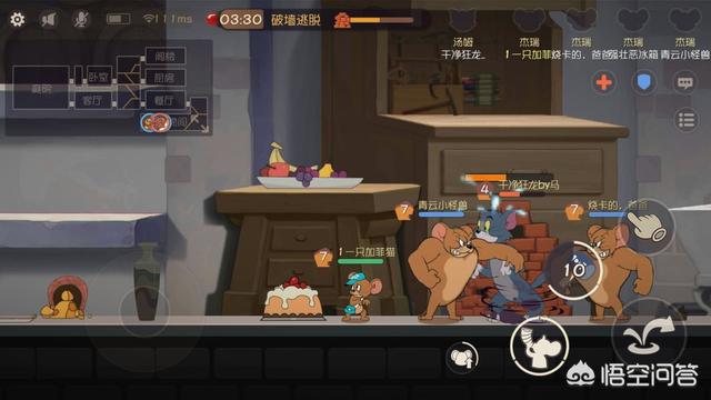 天眼猫 网易:网上叫嚣着国产猫粮不好，养猫只能喂进口猫粮是什么心态？ 天眼猫智能锁