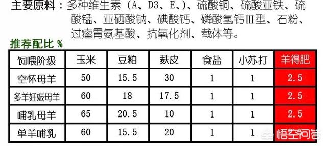 农村狗食配方:肉羊最常用的最容易获得的饲料配方是什么，几个月才能出栏？