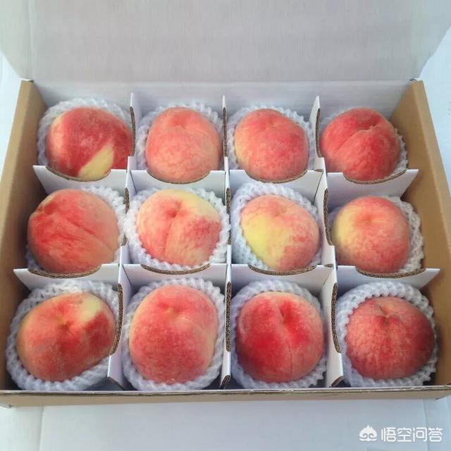 怎么在<a href=https://maguai.com/list/256-0-0.html target=_blank class=infotextkey><a href=https://maguai.com/list/256-0-0.html target=_blank class=infotextkey>朋友圈</a></a>里推销甘肃庆阳苹果、核桃<a href=https://maguai.com/list/91-0-0.html target=_blank class=infotextkey><a href=https://maguai.com/list/91-0-0.html target=_blank class=infotextkey>生产</a></a>销路