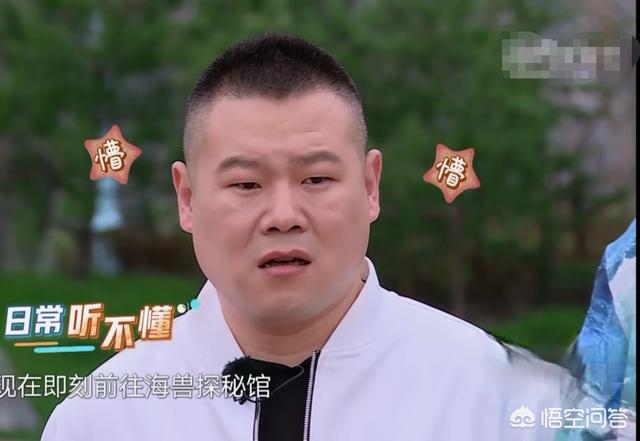 岳云鹏遭遇天价面:如何评价岳云鹏在《极限挑战》中的表现