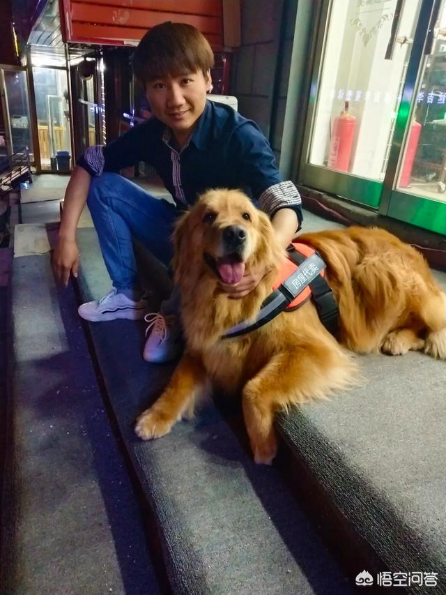 宠物安全隐患:如果你的宠物有身体缺陷，你还会爱它如初吗？