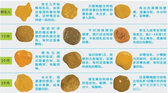 头条问答 - 家里新生儿刚刚8天,一直喝的母乳,目前出现了拉稀的情况