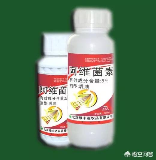 阿维菌素的作用:阿维菌素，杀螨类和昆虫，为什么在杀虫方面被称为“神药”？