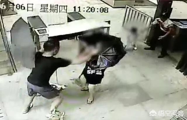 深圳狗狗网怎么:如何看待深圳女童被狗拖拽2米，妈妈出手阻拦竟遭狗主一顿暴揍？