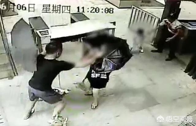 藏獒咬死女童gif:2岁女儿被狗咬，失控爸怒抓西施犬从12楼摔下，你怎么看？ 藏獒咬死人案例