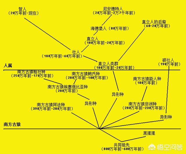 头条问答 人是从猴子进化而来的吗 那猴子又是由什么进化而来 猴子之前的生物又是从什么进化而来 16个回答