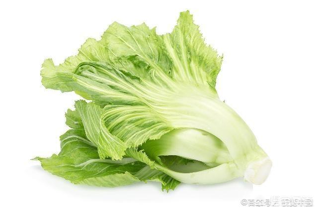 怎样使金芥菜长的快