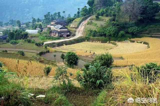 在农村怎样能比种地更赚钱？