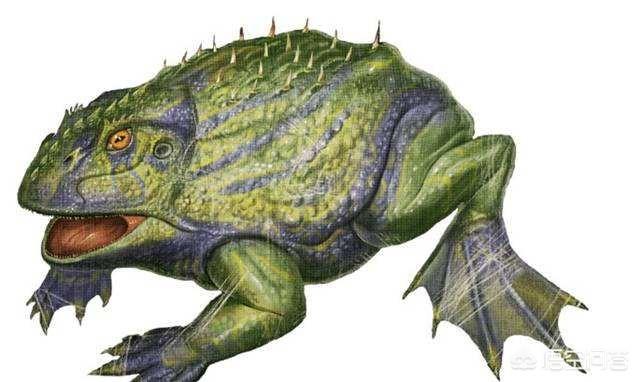 原色霸王角蛙价格:原色霸王角蛙多少钱 生活在7000万年前的魔鬼蛙，真的能猎杀恐龙吗？