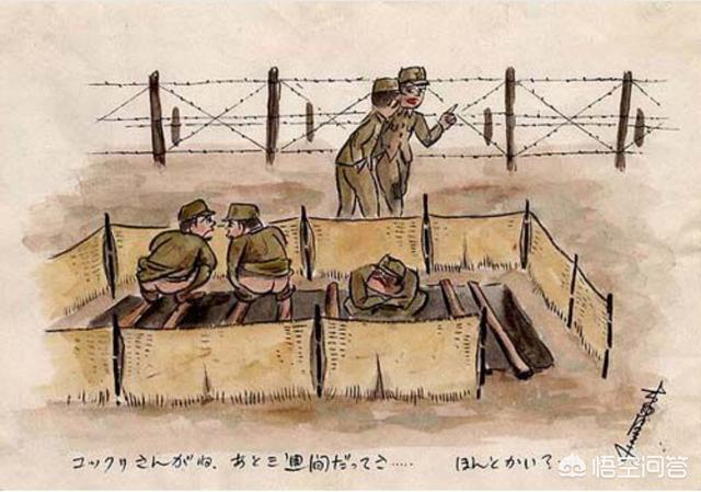 西伯利亚森林猫舍:60万日军俘虏去西伯利亚挖土豆，10年后为什么只回来50万？ Geniegoo西伯利亚森林猫舍