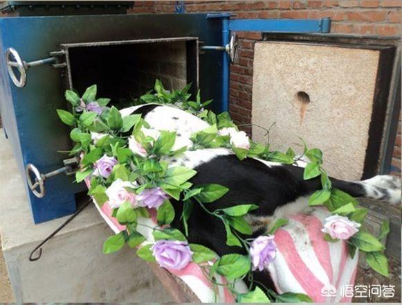 诈尸事件:农村提倡火葬，能给农村带来哪些好处你怎么看