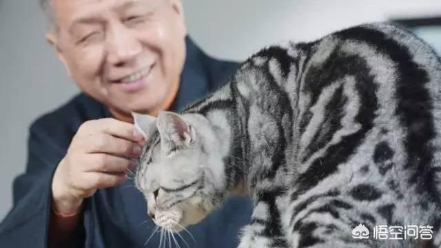 刘益谦简历:刘益谦和马未都相比究竟谁更胜一筹？