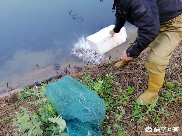 喂食时间怎么做:喂食时间怎么划分 一岁十个月宝宝用餐时间怎么安排合适？