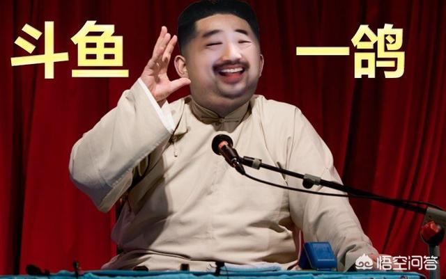 头条问答 - 你喜欢斗鱼直播平台吗?里面的主播你最喜欢哪个?