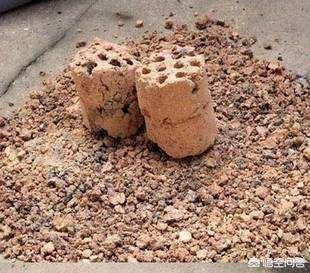 兰花火山石的作用:种兰花赤玉土好还是麦饭石好？