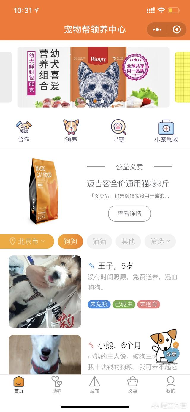 海阳宠物犬领养:想养只狗，哪里有领养的？