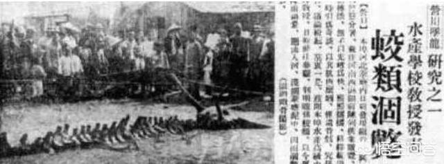 1934年营口坠龙:营口坠龙、松花江坠龙，为何历史上有那么多的坠龙事件？