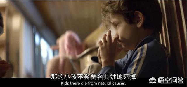 导盲犬珍妮在哭泣:《何以为家》可能会成为像《阿甘正传》一样的经典著作吗？