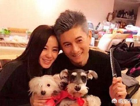 马雅舒和吴奇隆:吴奇隆前妻马雅舒现在怎么样？