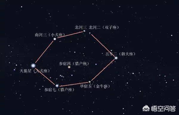 锈斑猫高级危险猫种:种植的大葱、大蒜，锈病是什么原因造成的？如何防治？