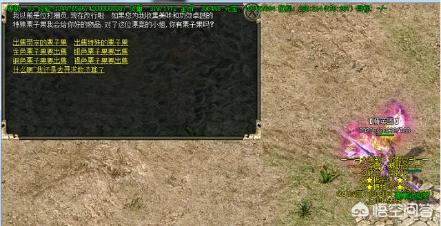 《热血传奇》除了比奇和盟重,还有一座龙飞城,是神龙帝国首都,请问背后有什么故事？