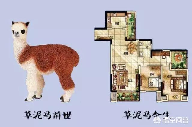 买房子最忌讳的户型,有哪些坑人的户型不能买？