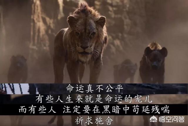 大象墓地:真的有那种大象死后都去的象冢吗