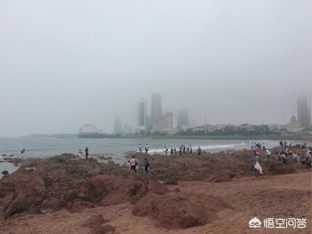 独自去旅游,不带亲朋和好友,你觉得自由又随性吗？