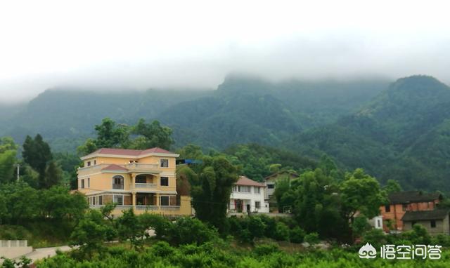 厦门允许非住宅改建租房吗，厦门出租房价为何涨这么快