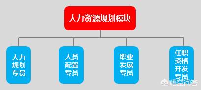 人力资源部门一般都设哪些岗位