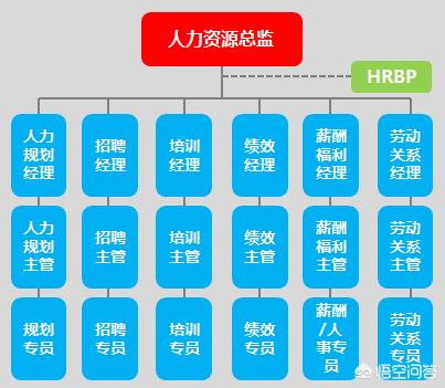 人力资源部门一般都设哪些岗位