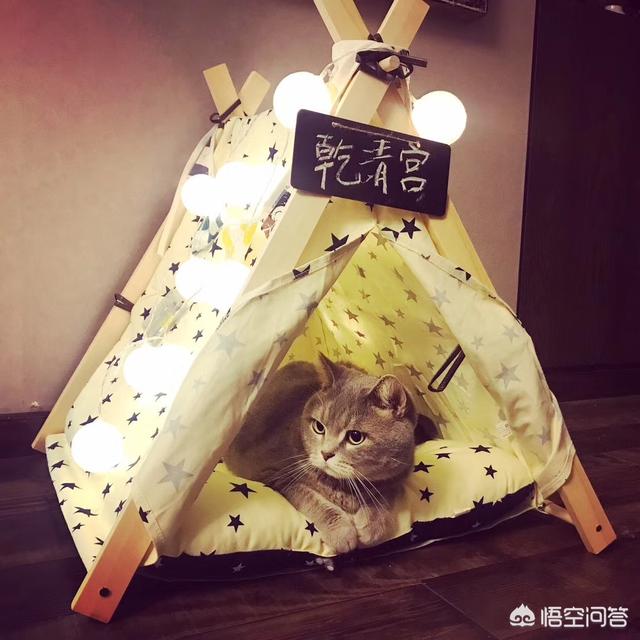 宠物除味剂可以直接喷在宠物身上么:猫窝可以喷香水吗，猫窝喷香水猫舔了有事吗？