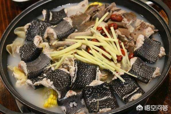 农村人爱吃的龙虎凤汤到底是什么食材做的呢？