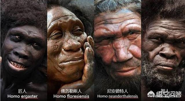 以前夏夜在野外常见的萤火虫，为什么现在逐渐销声匿迹了？