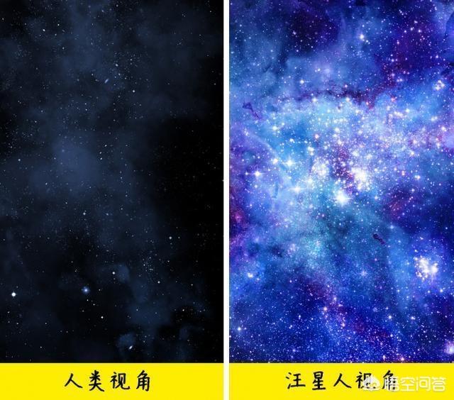 改变世界的犬类 mkv:狗狗的眼睛里看到的世界是什么样的？