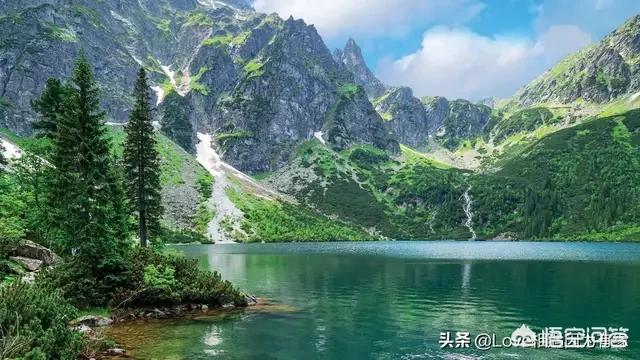 所谓传武大师，名师，宗师遇到了现代搏击，有的败的很惨，为什么？