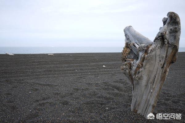 科学未解之谜，科学未解之谜，加拿大北部的巴罗莫角，为何称为“死亡之角”