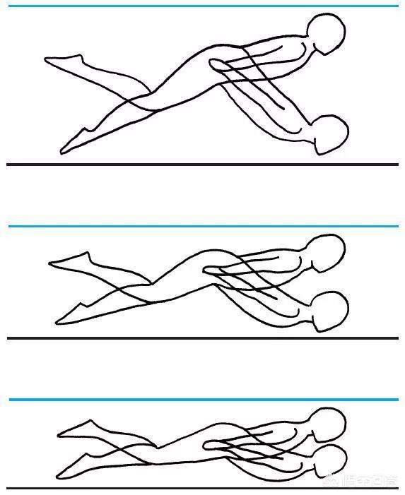 学蝶泳(学蝶泳的步骤)
